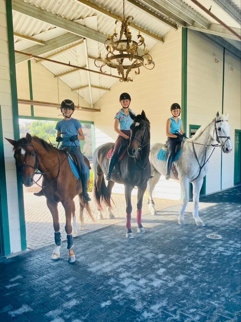 Opus Equinus Farms, business photo 2