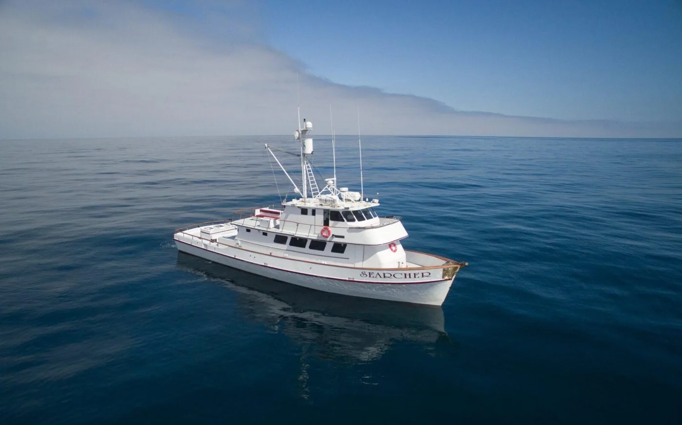 Searcher Sportfishing business photo