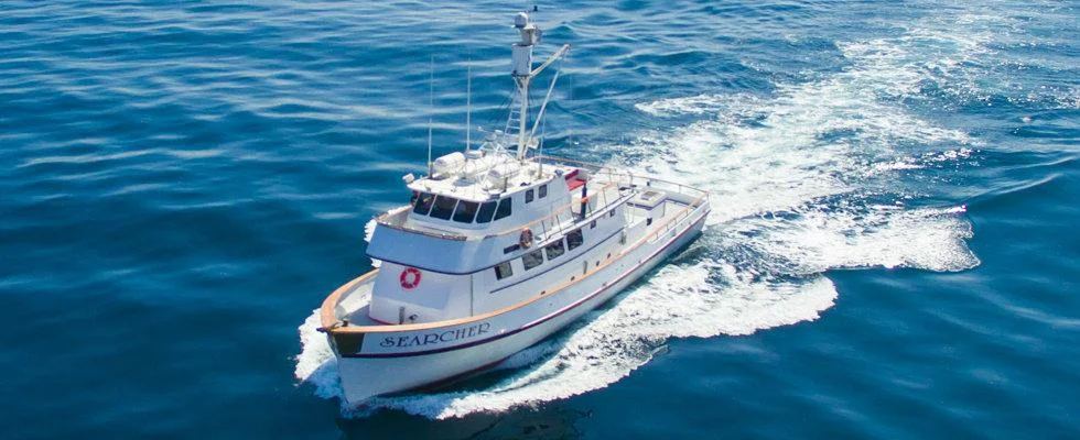 Searcher Sportfishing, business photo 2