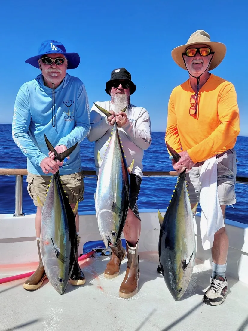 Searcher Sportfishing, business photo 4