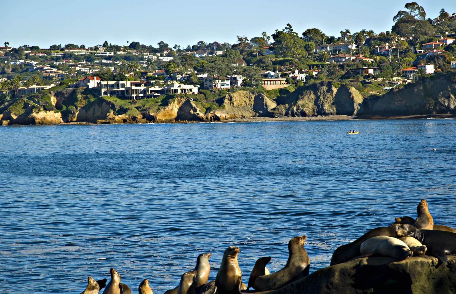 La Jolla’s coastline and sea lions in San Diego